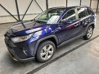 ocasión turismos Toyota Rav-4 Hybrid 2.5 131-KW Automaat 2-WD Panoramadak 2019/1