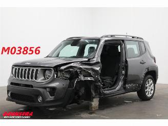 disassembly commercial vehicles Jeep Renegade 1.0T Limited ACC Navi Clima Camera PDC 66.081 km 2020/8